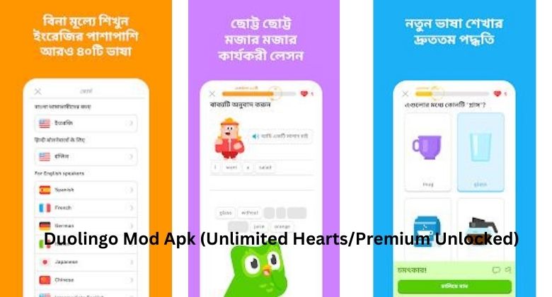 Duolingo Mod Apk